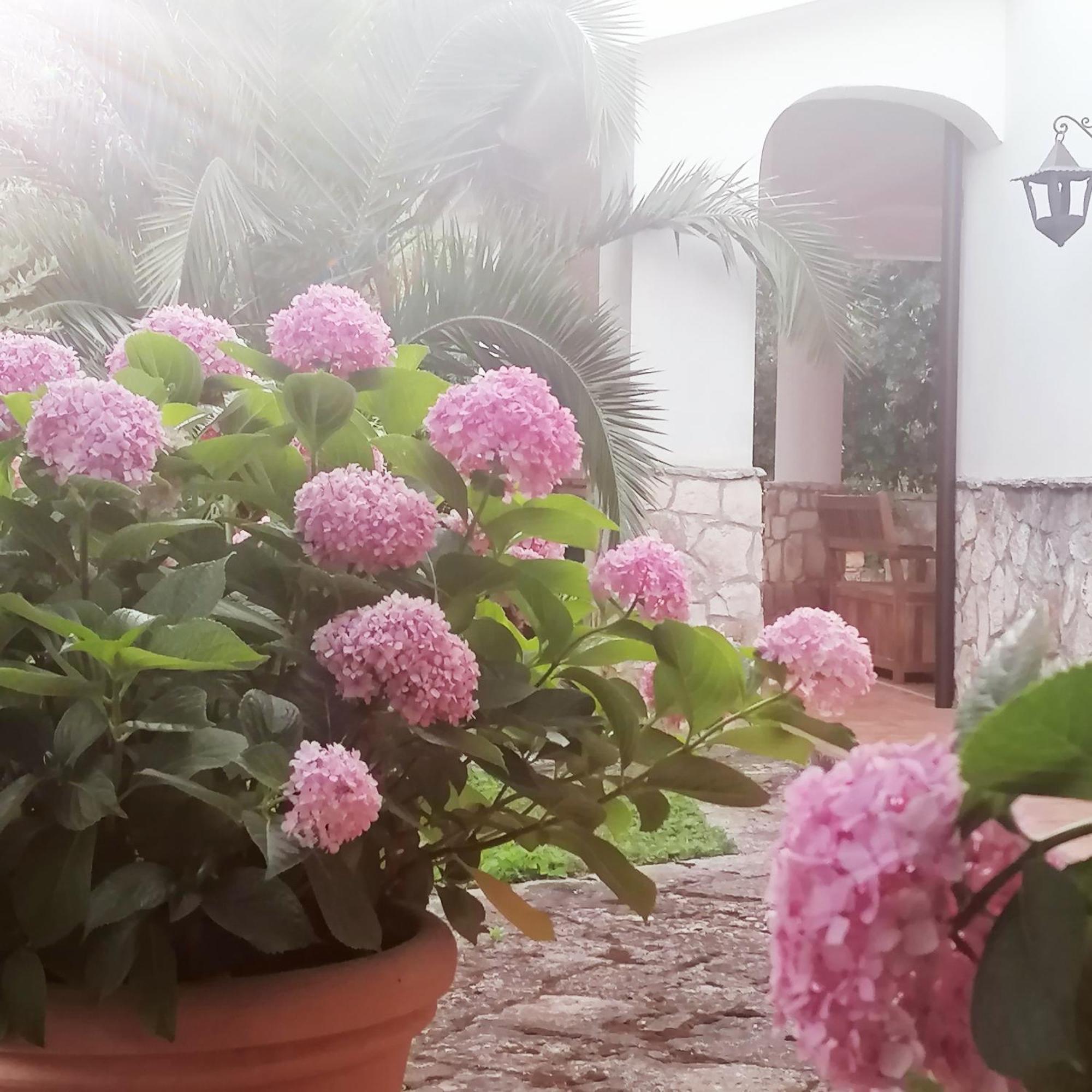 Casa Marisa Villa Vacanza Castellana Grotte Exterior photo