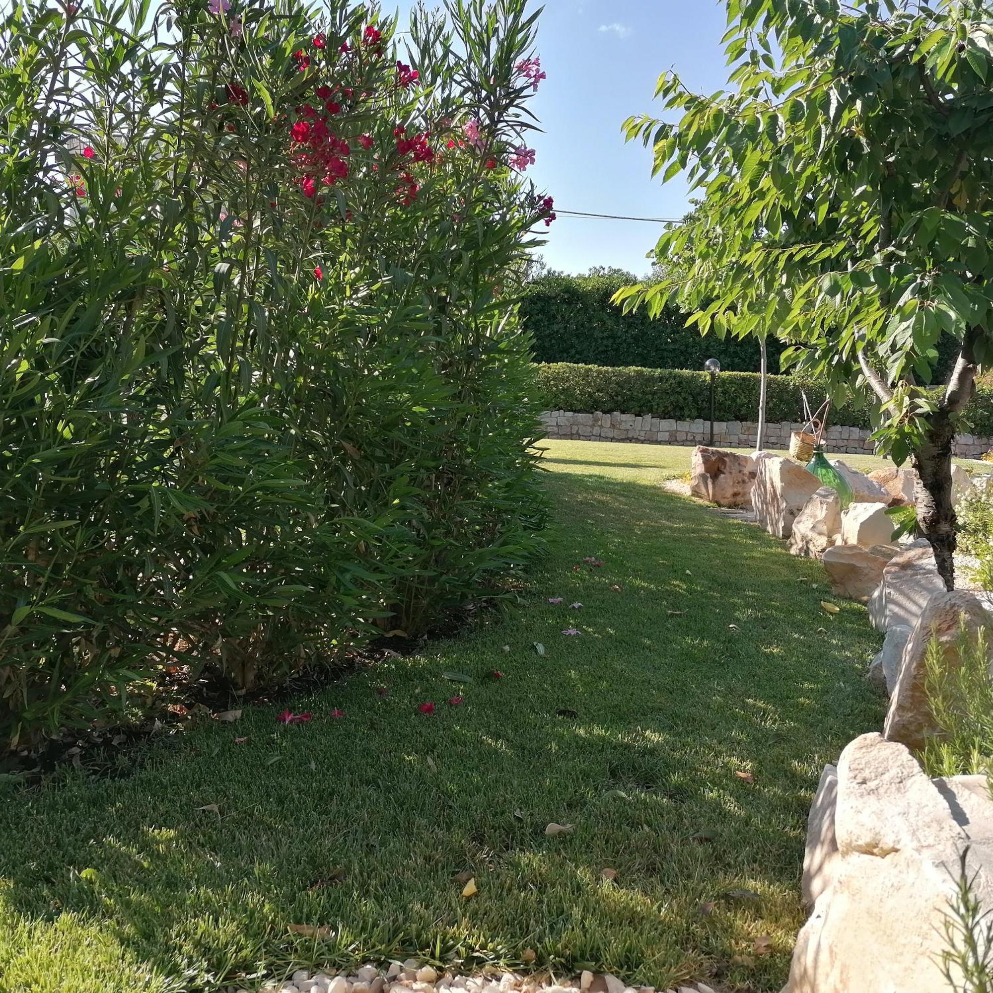 Casa Marisa Villa Vacanza Castellana Grotte Exterior photo